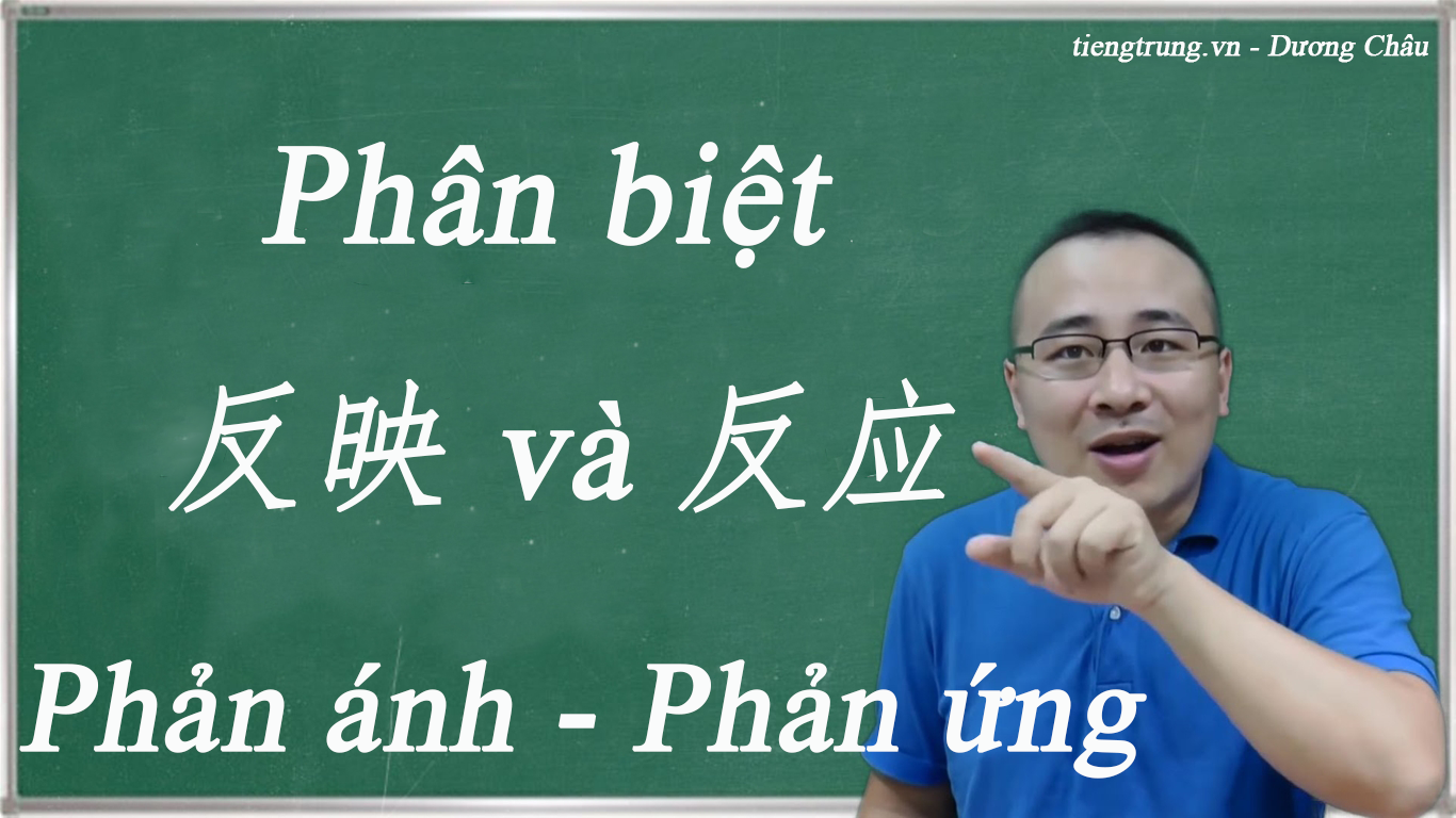 Phân biệt "反映" vs "反应". Phản ánh - Phản ứng